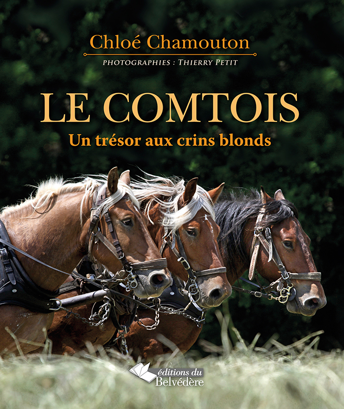 Le Comtois un trésor aux crins blonds