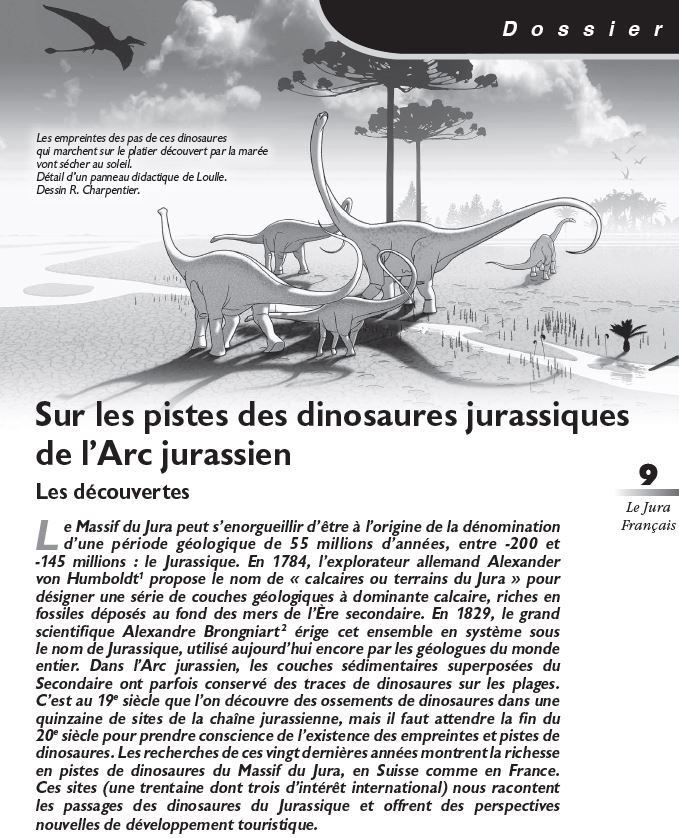 Le Jura Français Dossier N°328 page 9 Sur les pistes des dinosaures jurassiques