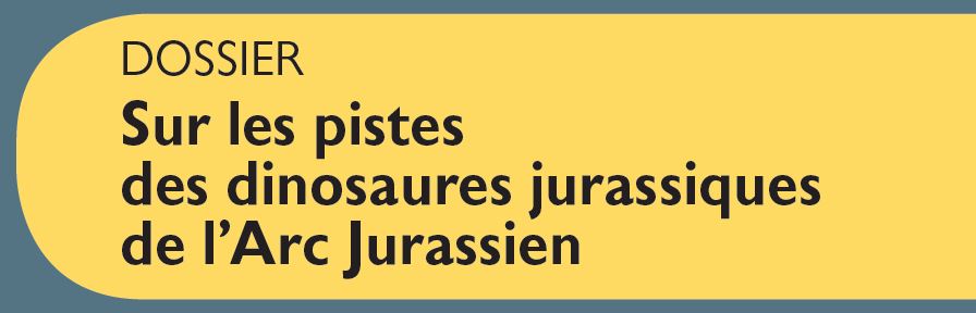 Le Jura Français Dossier vignette N°328 Dossier Sur les pistes des dinosaures jurassiques de l’Arc Jurassien